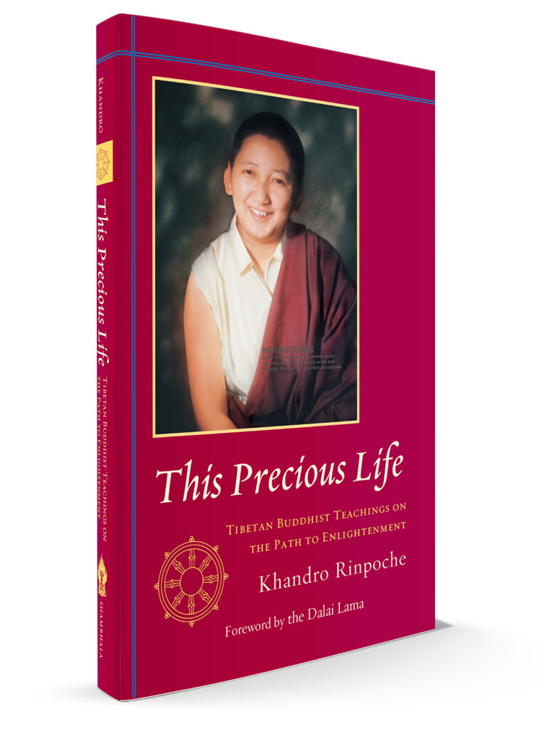 This Precious Life 3D cover this precious life