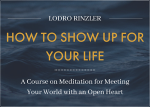 How to Shape Your Life