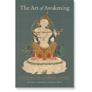 The Art of Awakening