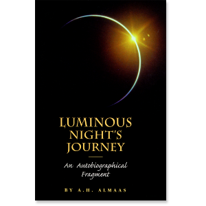 Luminous Nights Journey