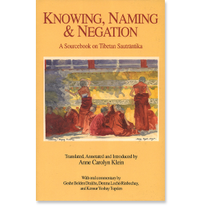 Knowing, Naming, and Negation