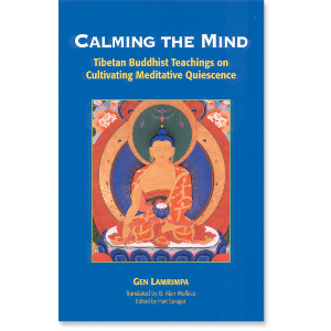 Calming the Mind