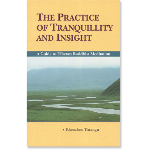 The Practice of Tranquillity and Insight