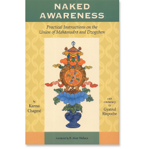 Naked Awareness