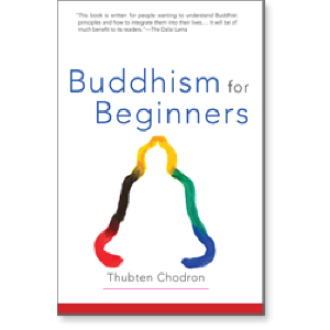 Buddhism for Beginners