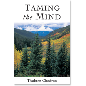 Taming the Mind