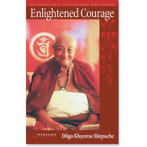 Enlightened Courage