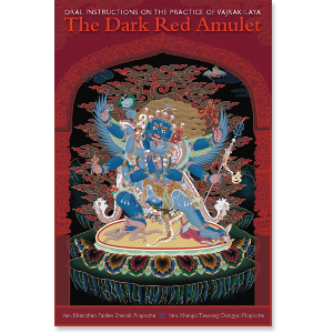 The Dark Red Amulet