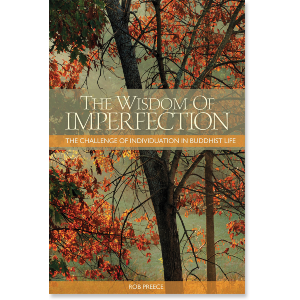 The Wisdom of Imperfection