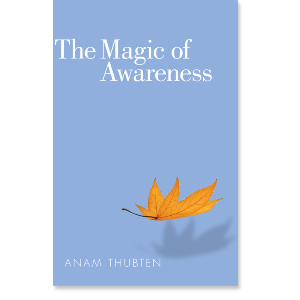The Magic of Awareness