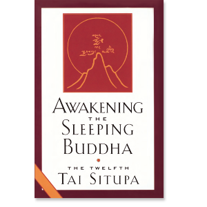 Awakening the Sleeping Buddha