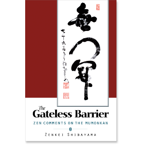 The Gateless Barrier