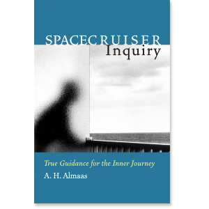 Spacecruiser Inquiry