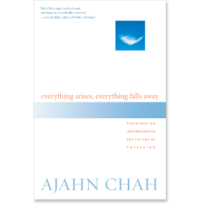 Everything Arises, Everything Falls Away