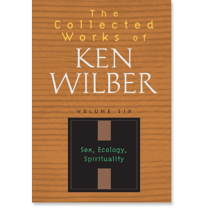 The Collected Works of Ken Wilber, Volume Six