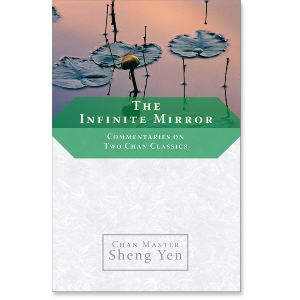 The Infinite Mirror