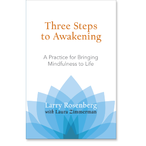Three Steps to Awakening
