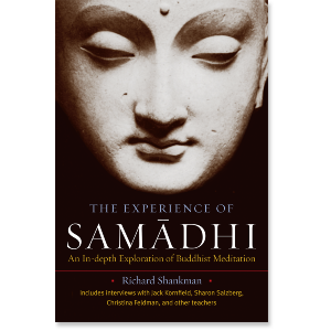 The Experience of Samadhi