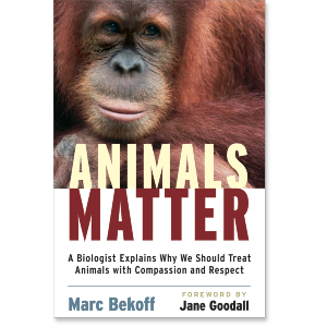 Animals Matter