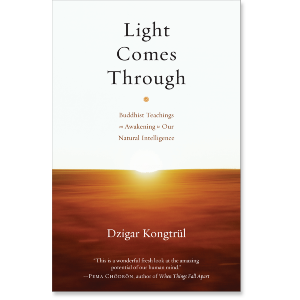 Light Comes Through