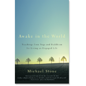 Awake in the World