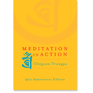 Meditation in Action