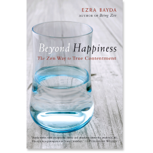 Beyond Happiness
