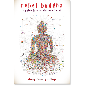 Rebel Buddha