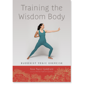 Training the Wisdom Body
