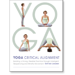 Yoga: Critical Alignment