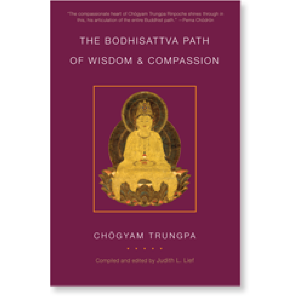 The Bodhisattva Path of Wisdom and Compassion (volume 2)