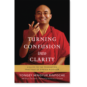 Turning Confusion into Clarity