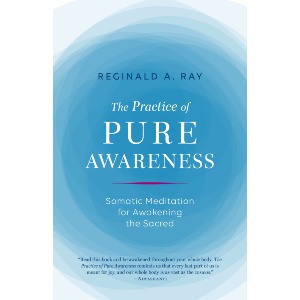 The Practice of Pure Awareness