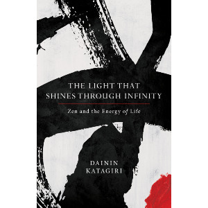 The Light That Shines through Infinity
