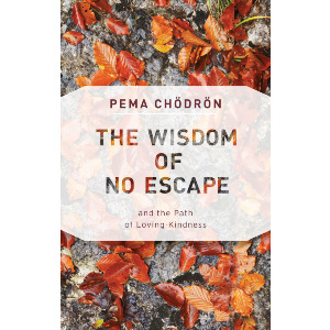 The Wisdom of No Escape