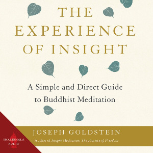 The Experience of Insight