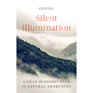 Silent Illumination