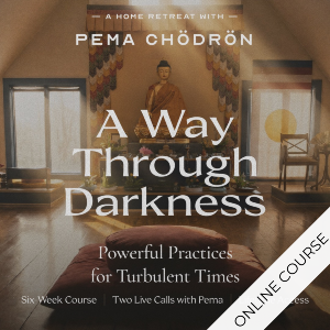A Way through Darkness