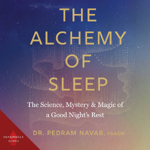 The Alchemy of Sleep