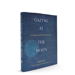 Gazing at the Moon