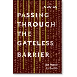 Passing Through the Gateless Barrier