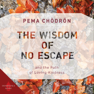 The Wisdom of No Escape