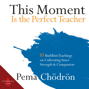 This Moment Is the Perfect Teacher